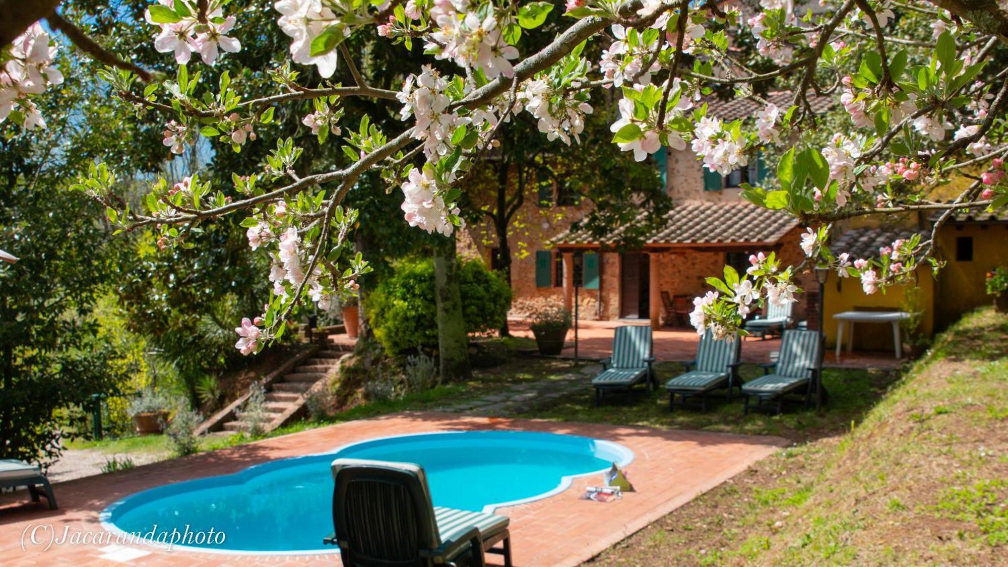 Villa La Pieve Camaiore Kültér fotó