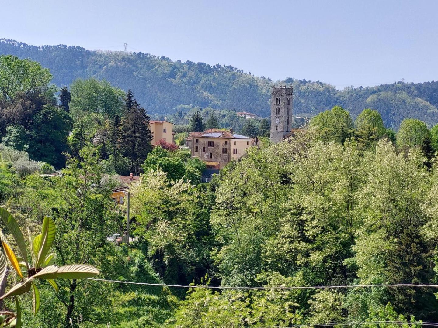Villa La Pieve Camaiore Kültér fotó