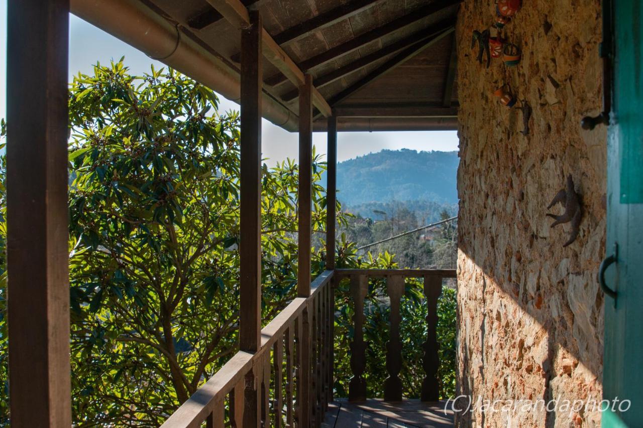 Villa La Pieve Camaiore Kültér fotó