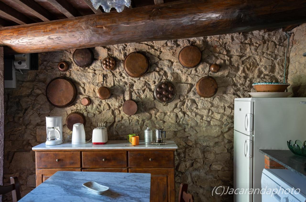 Villa La Pieve Camaiore Kültér fotó